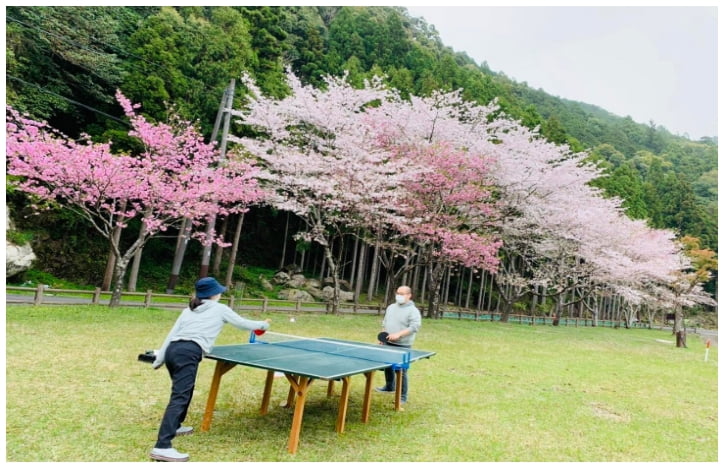 Table-tennis